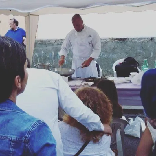 A screenshot of https://divriots.com/